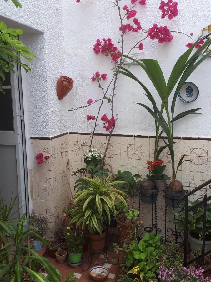 Gasthof La Casa Jazmin